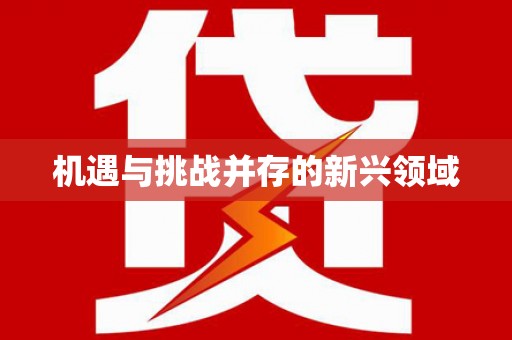 宜丰机遇与挑战并存的新兴领域