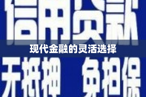 宜丰现代金融的灵活选择