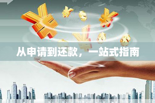 宜丰从申请到还款，一站式指南