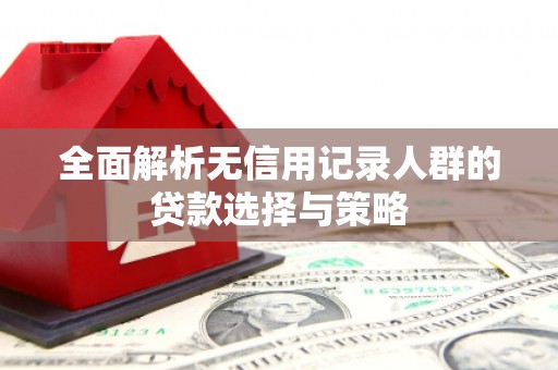 宜丰全面解析无信用记录人群的贷款选择与策略