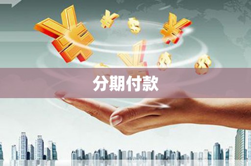 宜丰分期付款