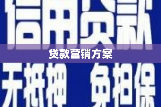 宜丰贷款营销方案