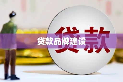 宜丰贷款品牌建设